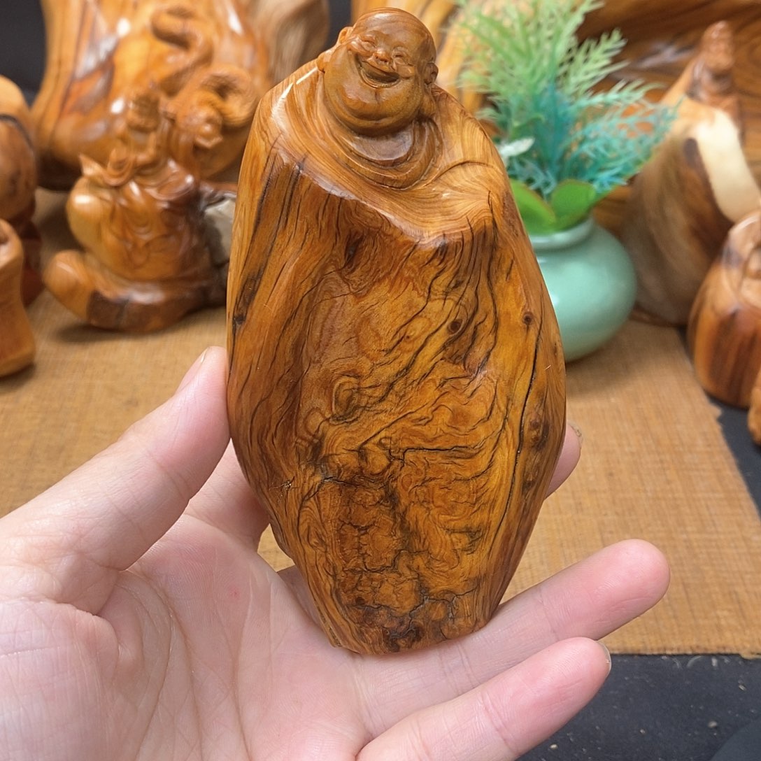 柏木（崖柏）一物一图