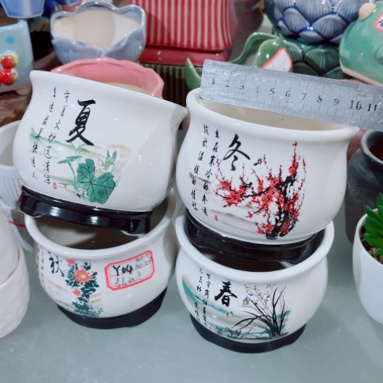 红陶11111111111111111111