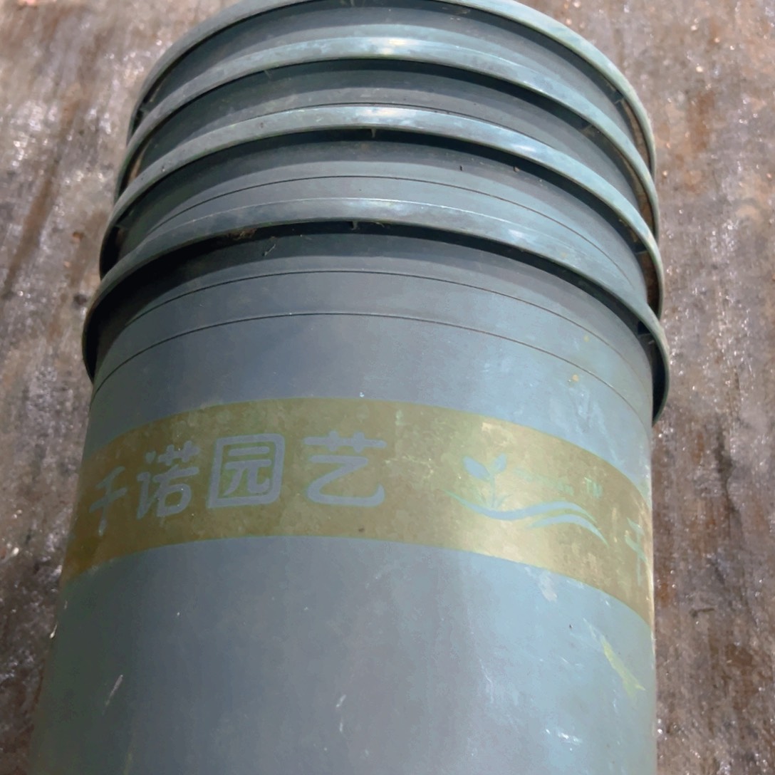 塑料绿加伦大口径27厘米26.5高加厚 4个