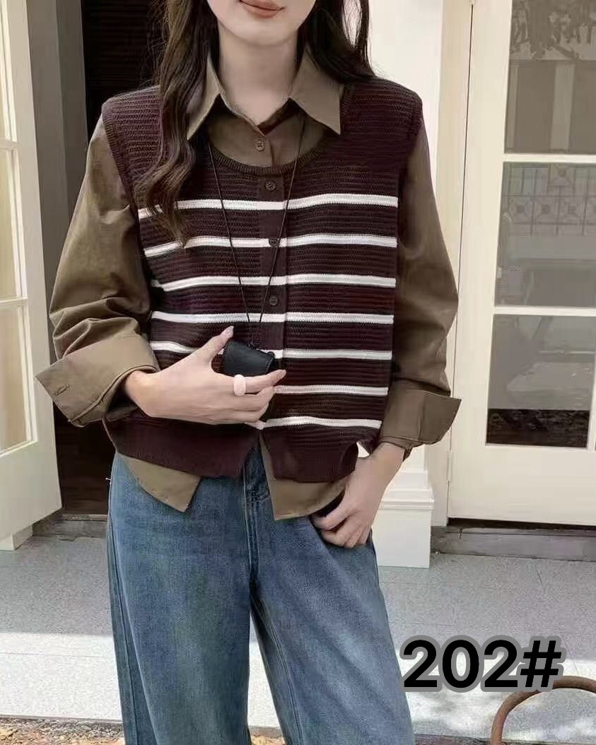 200-249秋冬款百搭两件套衬衣