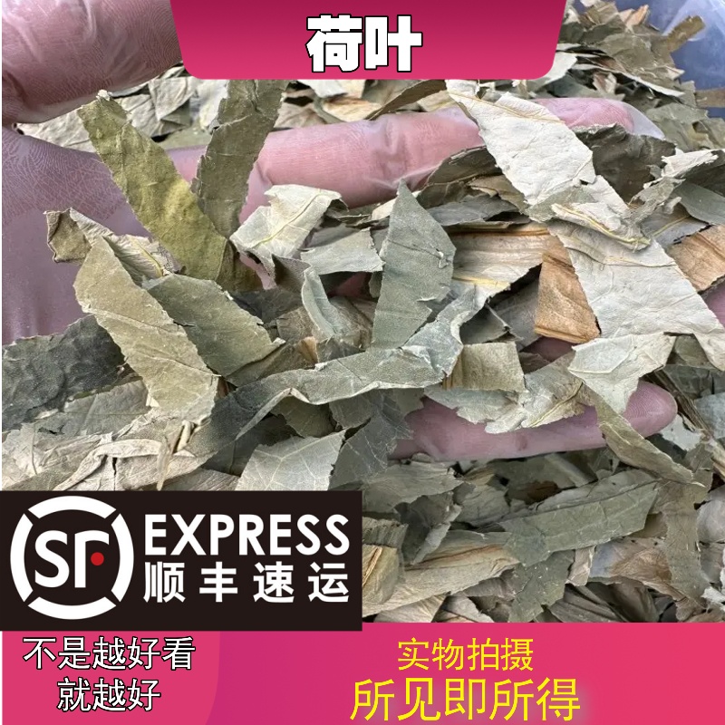 荷叶成都中药材批发别名：莲叶、蕸、风盖、翠盖、荷衣