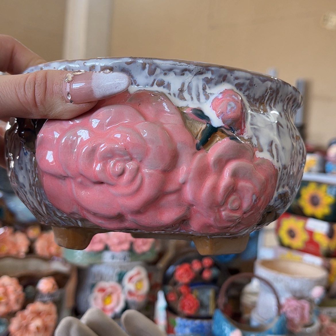 【闪购商品】红陶福利