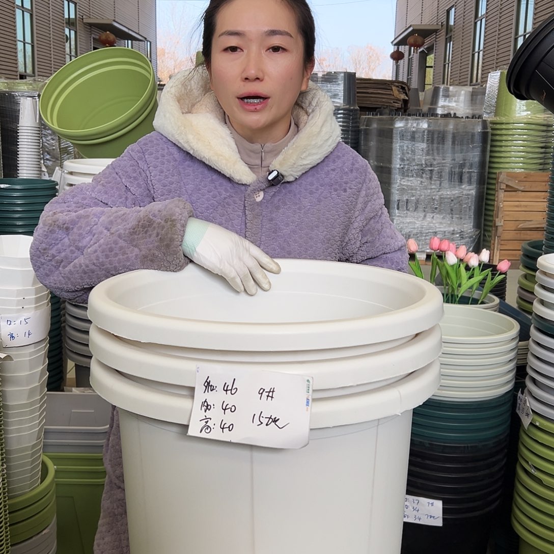 瑕疵四季盆9#白色3个无托