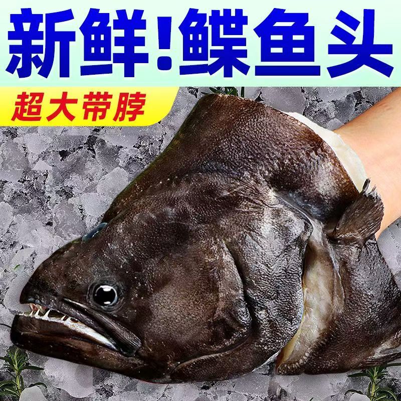 【按斤不按个】新鲜鲽鱼头进口格陵兰碟鱼头鸦片鱼头深海碟鱼头