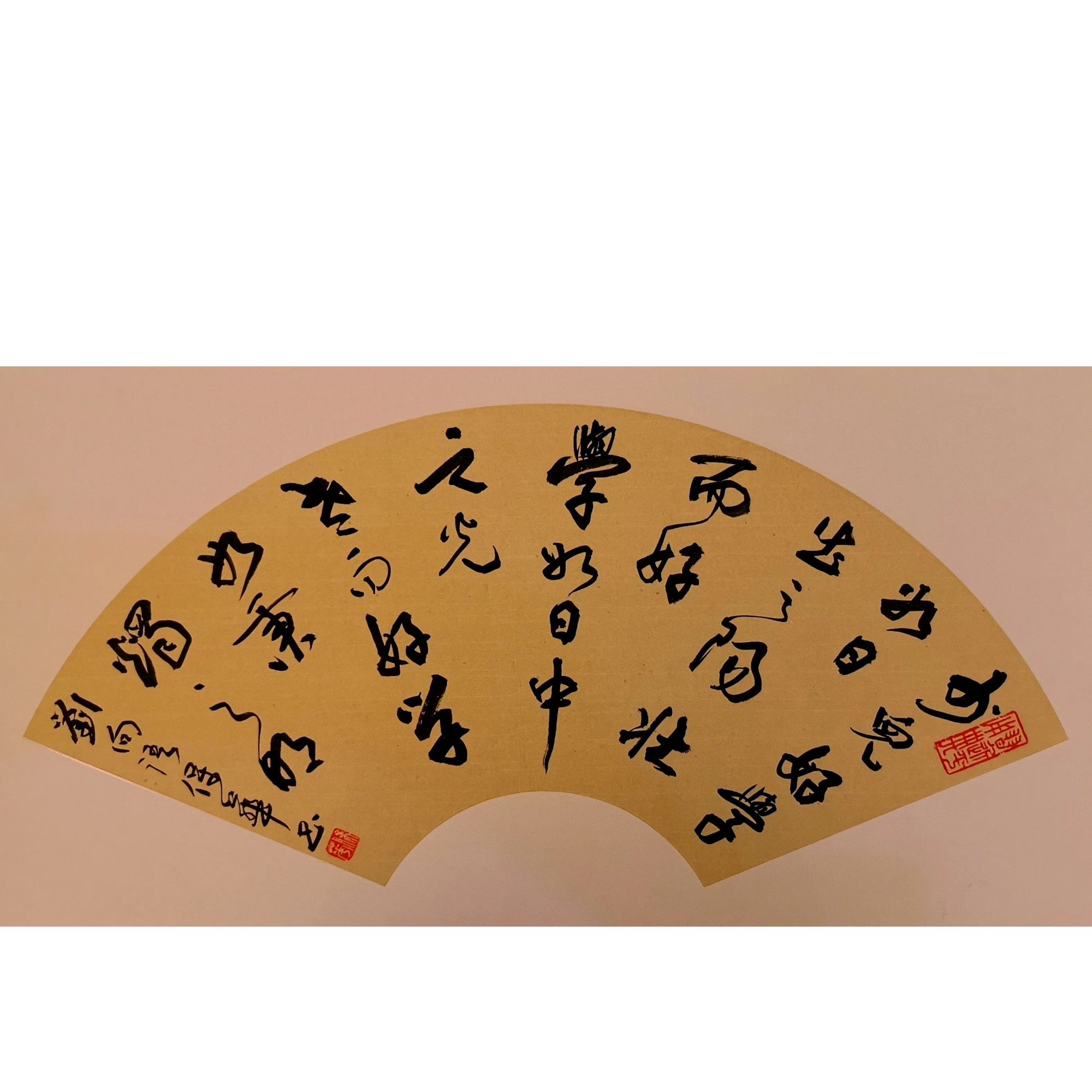 边保华老师作品  刘向语  老师自播