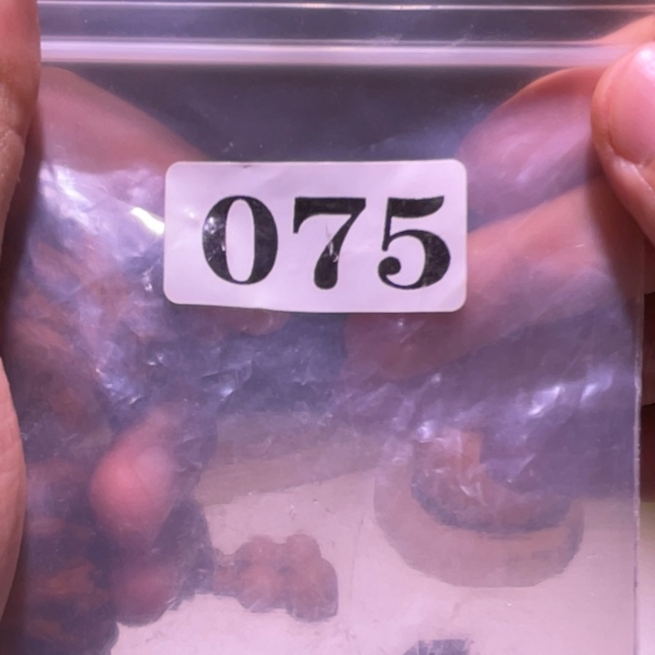 吊坠文玩核桃075核桃