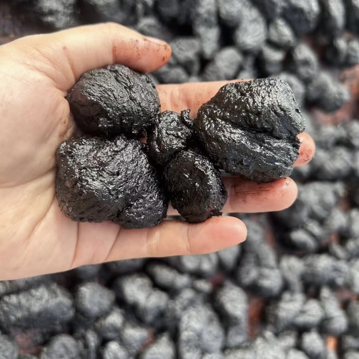 【小曾优选】 熟地黄 -干净无沙-