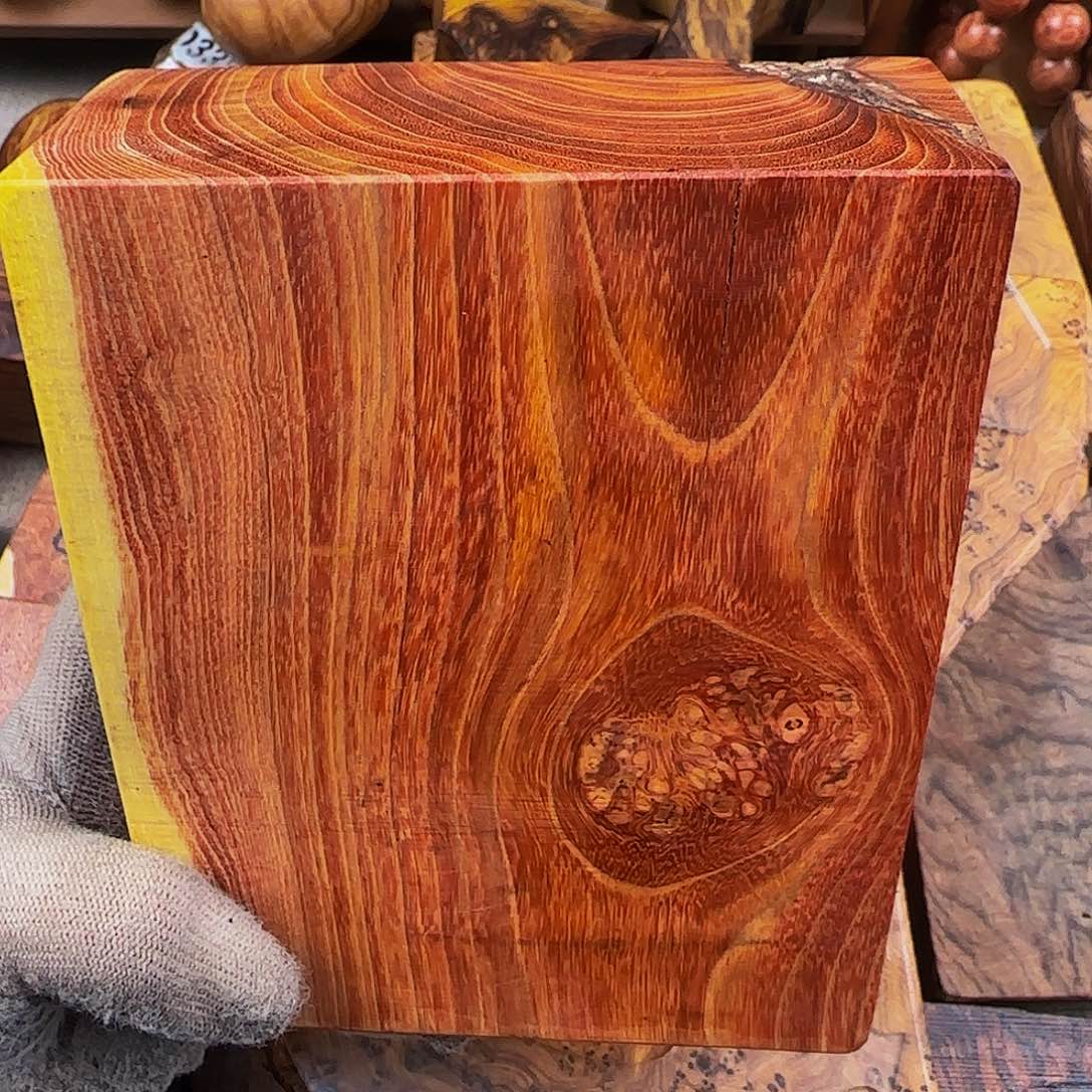 木7**7小叶羊蹄甲红色纹理