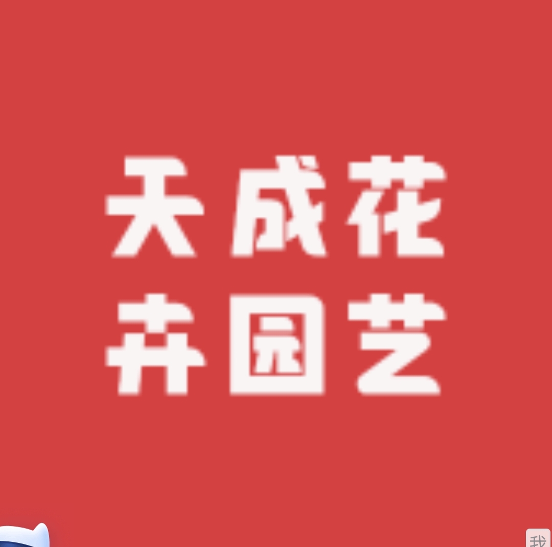 一物一拍108. 8手机后四位原盆原土