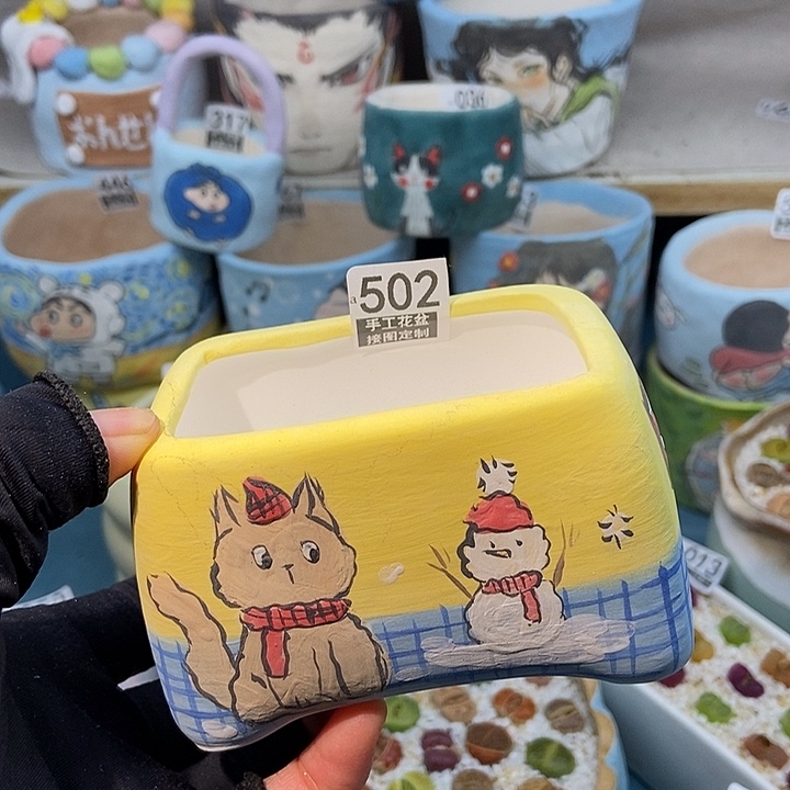 大舅生石花肉锥多肉502