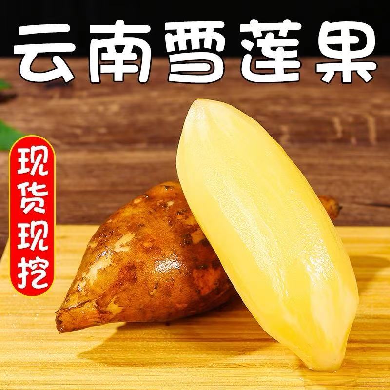 【产地现发】云南雪莲果当季新鲜水果脆甜多汁现挖现发黄肉产地直发