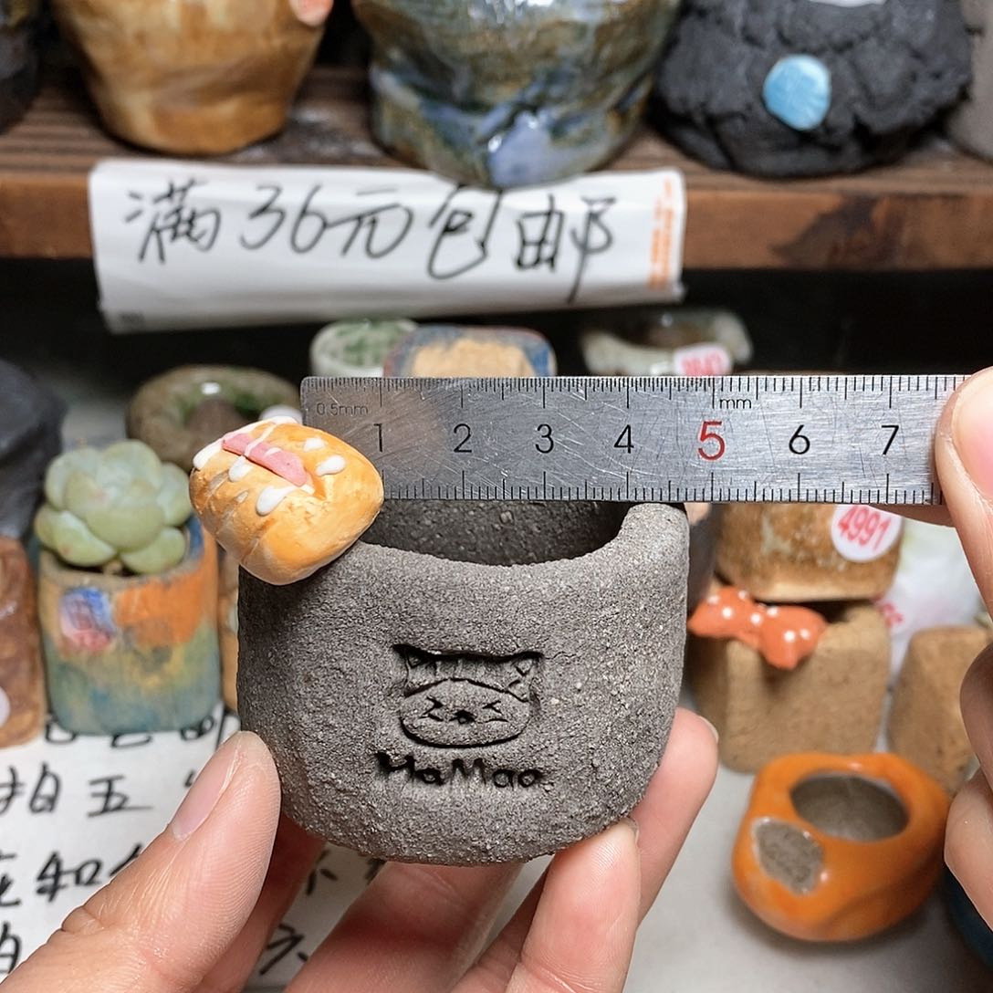 红陶拍5送一个小