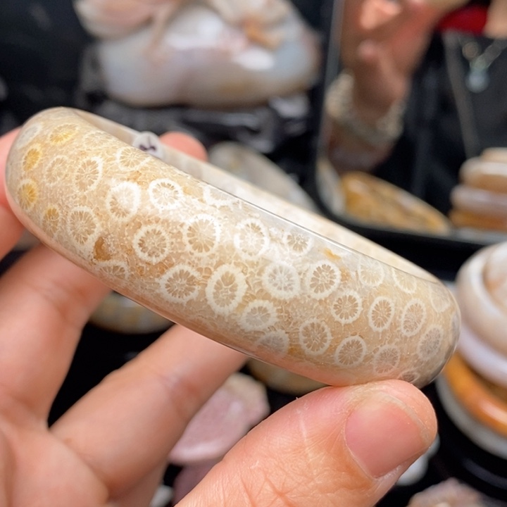 硅化珊瑚（珊瑚玉）手镯未镶嵌59