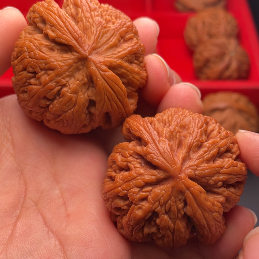 文玩核桃把件秦岭山脉