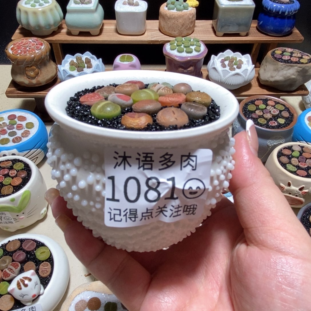 所见即所得 一物一拍1081