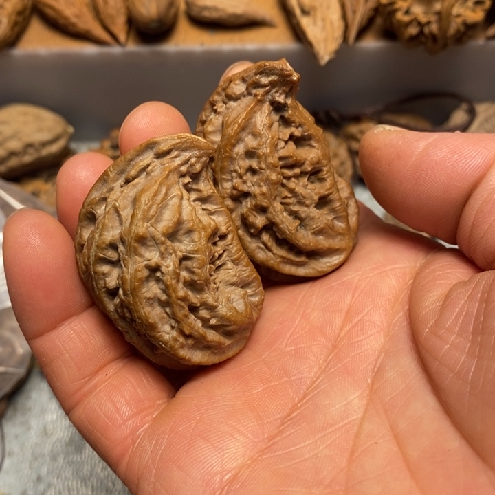 文玩核桃吊坠不错