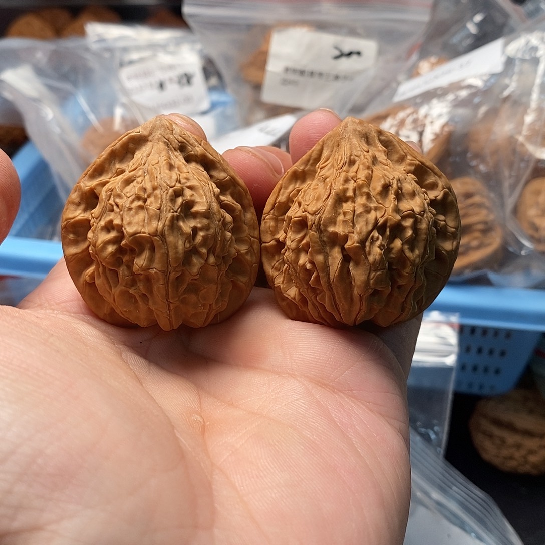 小***豹1文玩核桃杨家坪39