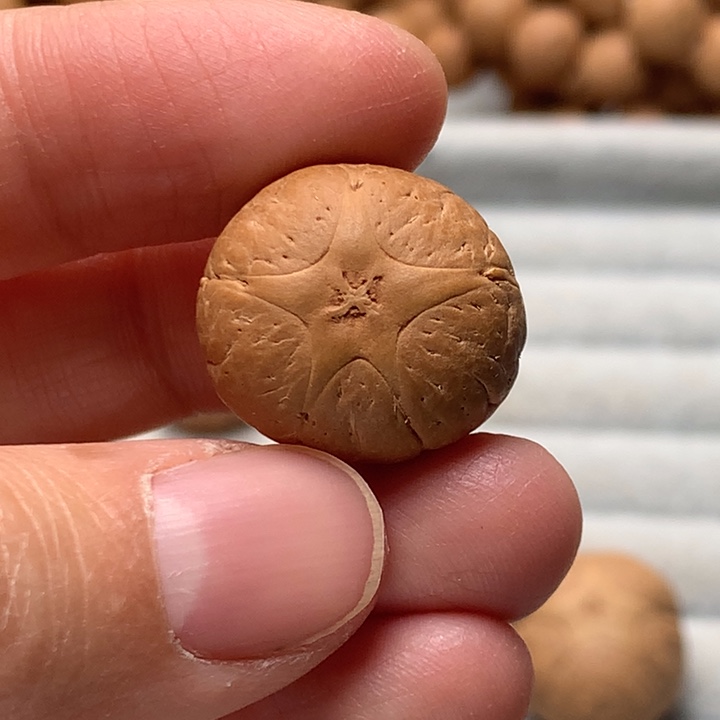 凤眼菩提手串尧*灵五星20.6mm