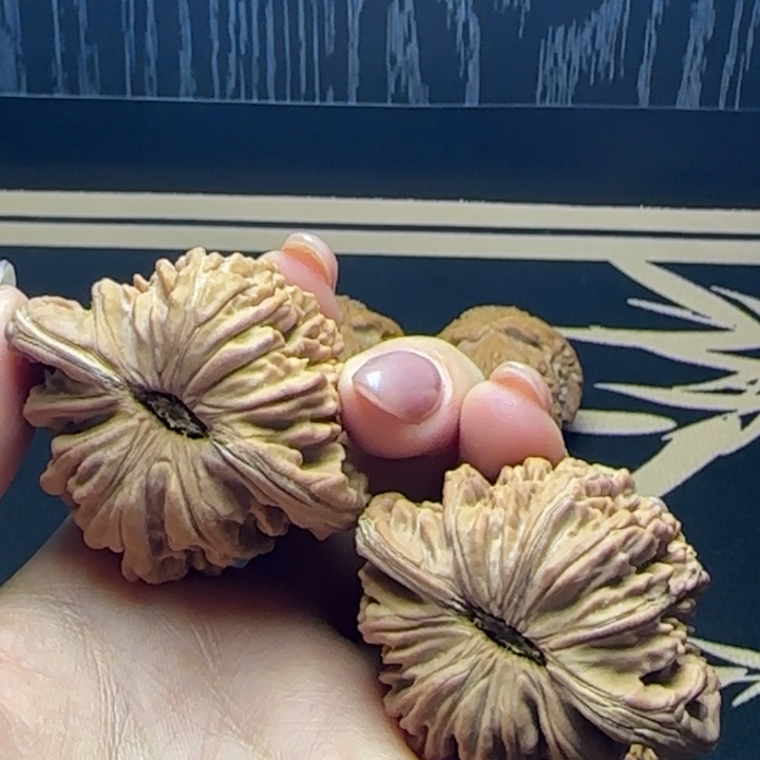 乒***球大叶紫檀（黑酸枝木类）