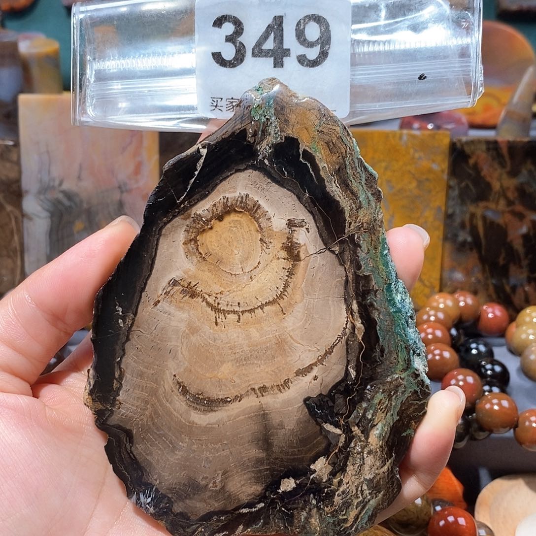 硅化玉天然北票硅化玉原石未镶嵌天然北票硅化玉原石