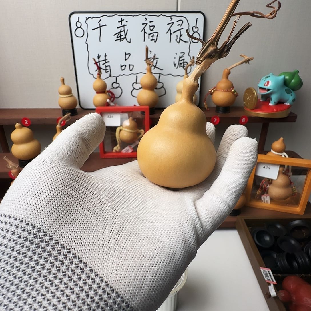 @***1一物一拍葫芦康康