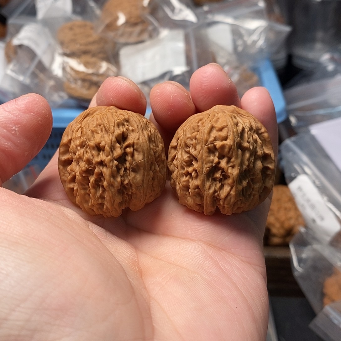 1文玩核桃龙门柱35-353