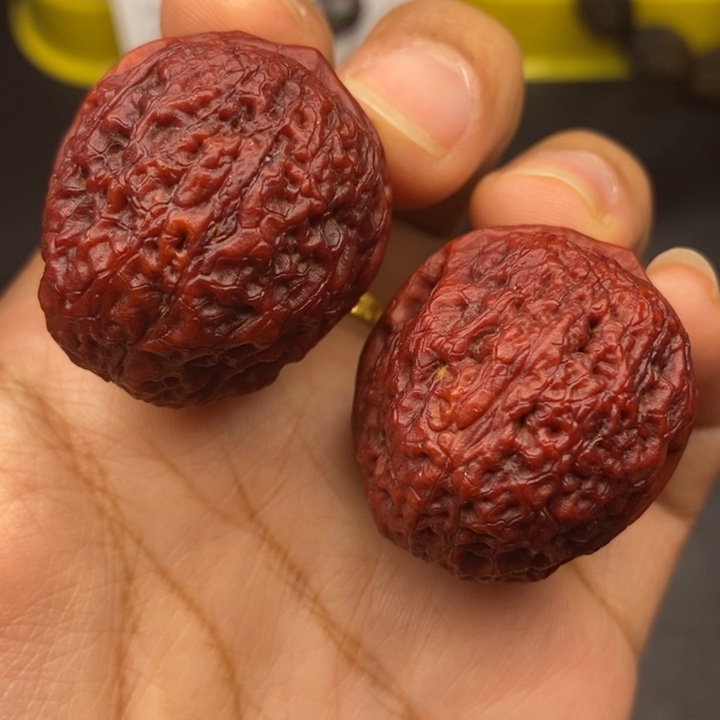 吊坠文玩核桃37尺密纹元宝