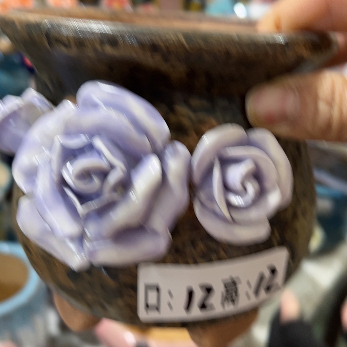 【闪购商品】红陶福利