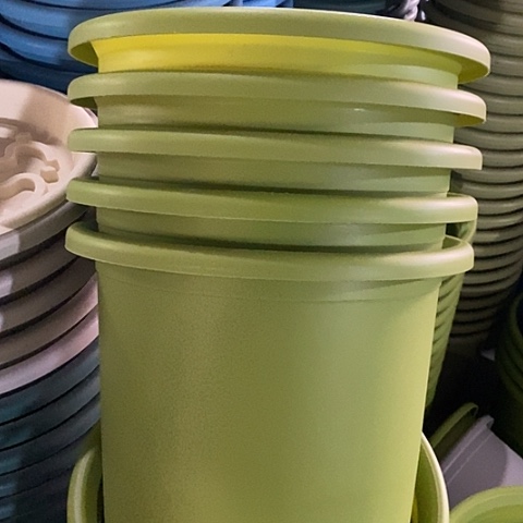 树脂特价6号5个无托果绿