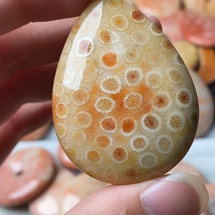 佛***君硅化珊瑚未镶嵌颈饰