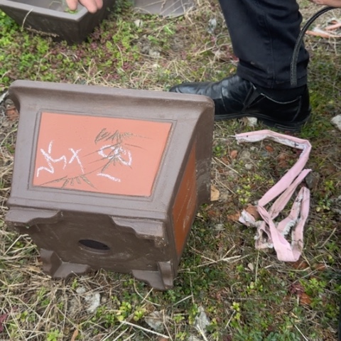 红陶紫砂花盆盆景盆栽