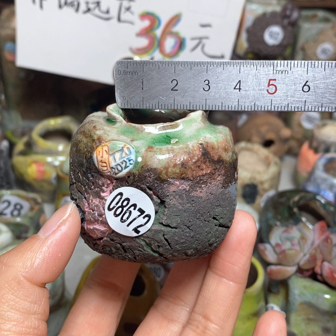 花盆拍3送一个小礼物