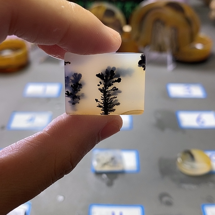 伊***5玛瑙/玉髓未镶嵌珠宝半成品