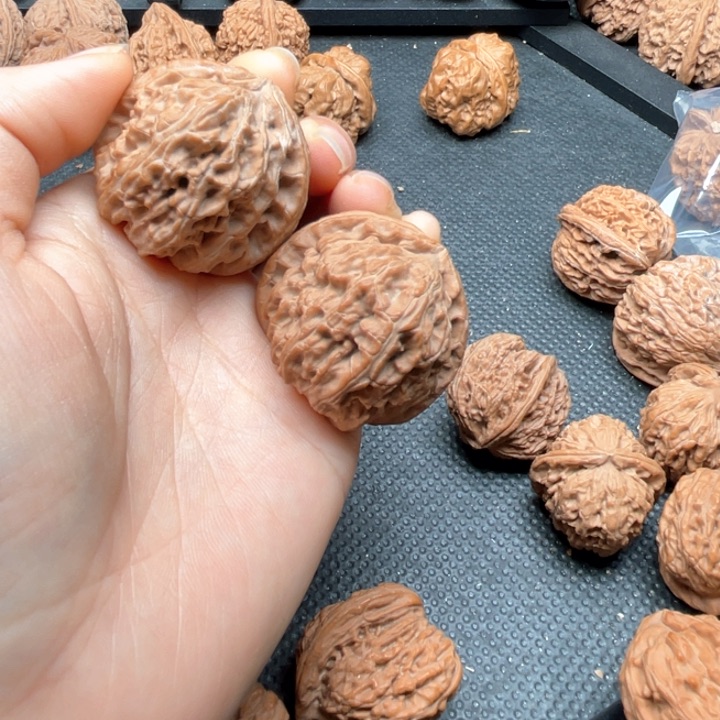 核桃其他习***惯白狮子39尺全品无修