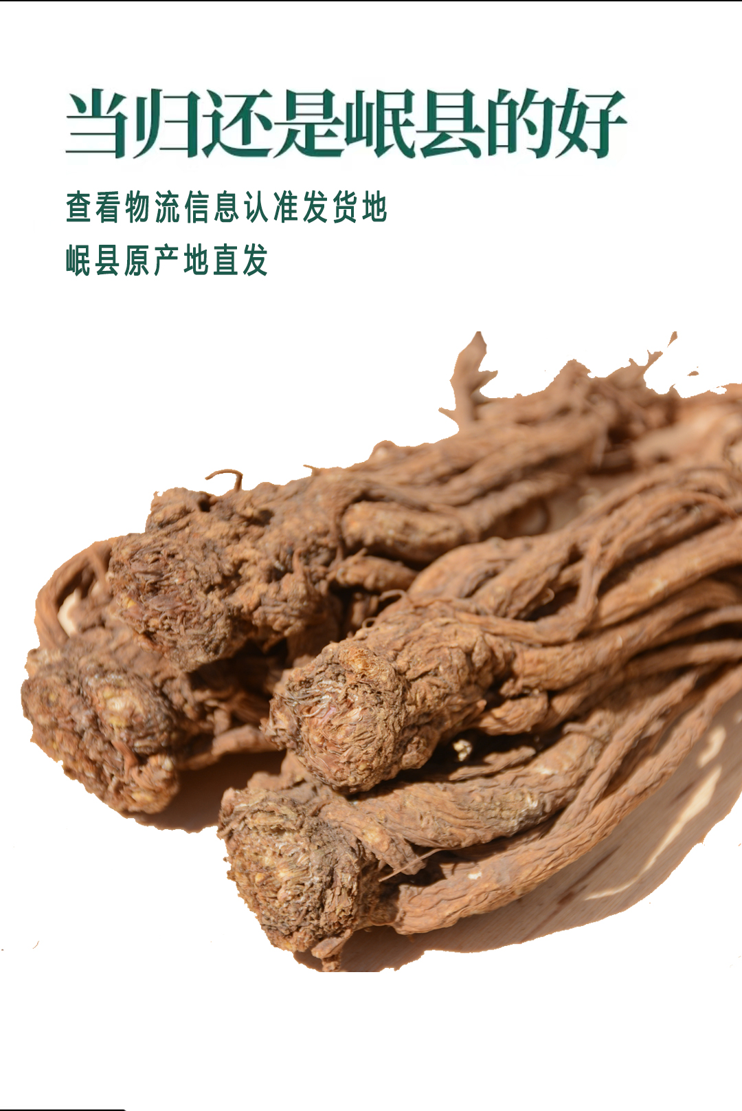 甘肃岷县整根当归（小条）自然晾晒可煲汤泡酒滋补中药材