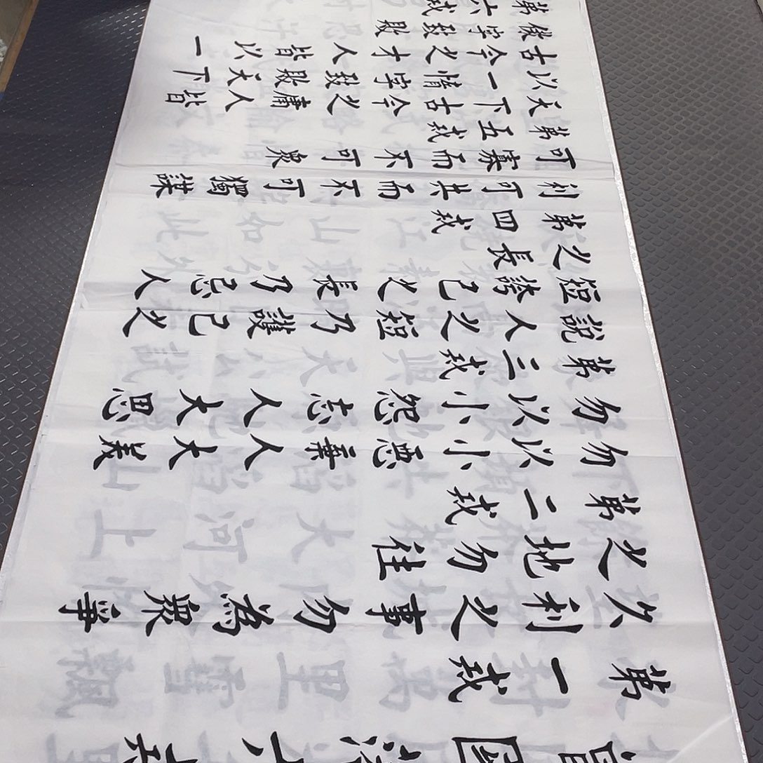 书法老师真人手写杨