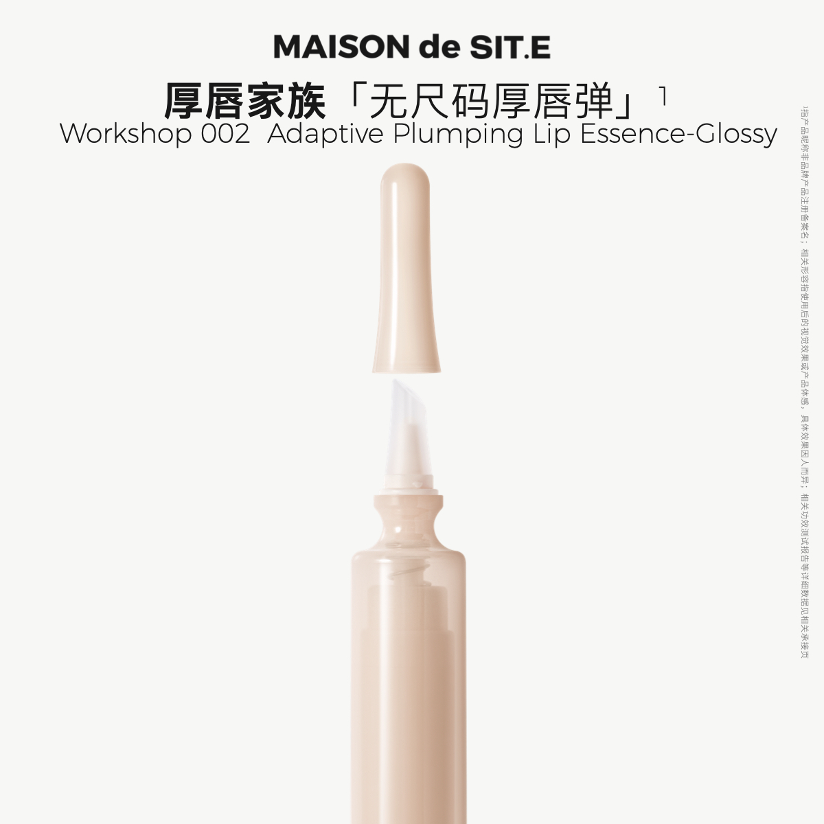【MDS新品】MAISON de SIT.E立体盈润淡纹护唇精华厚唇弹持妆无痕DP