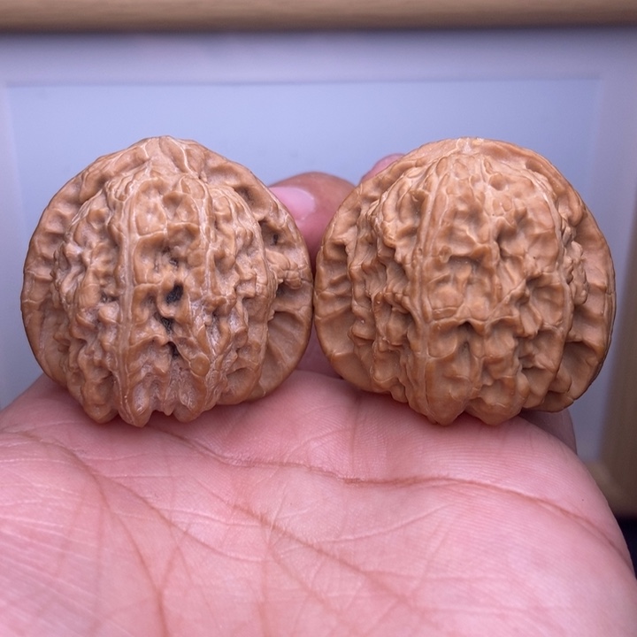 核桃全品小三角白