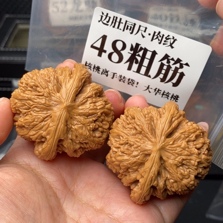 文玩核桃把件S**n48粗筋