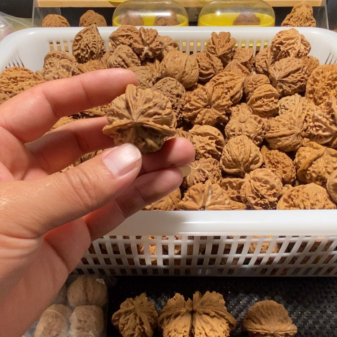 雾***鹿玩玩核桃单只异形