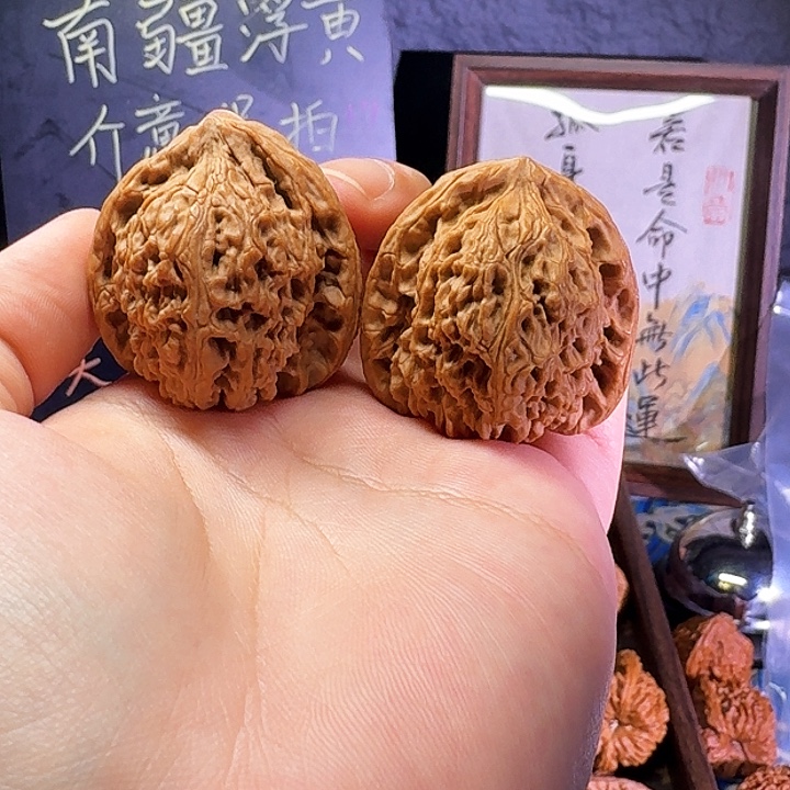大叶紫檀（黑酸枝木类）
