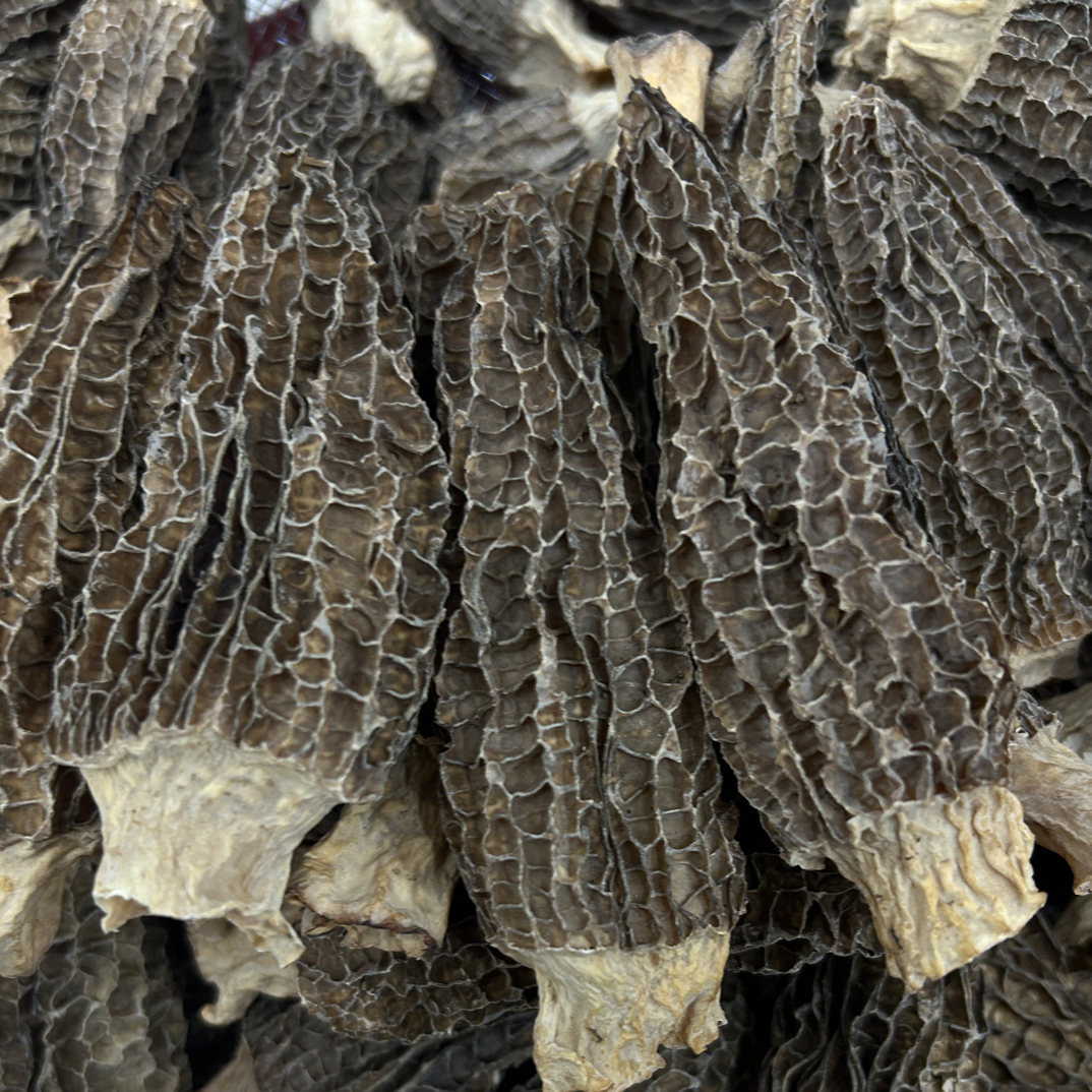 云南头茬厚肉羊肚菌9-12半斤装