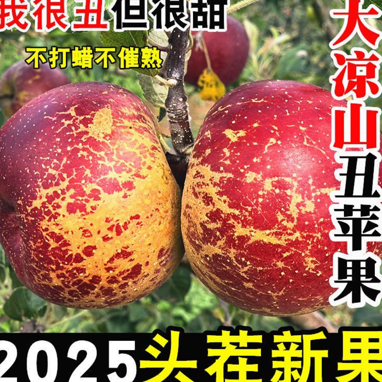 【京东快递】四川大凉山冰糖心丑苹果脆甜多汁现摘新鲜水果