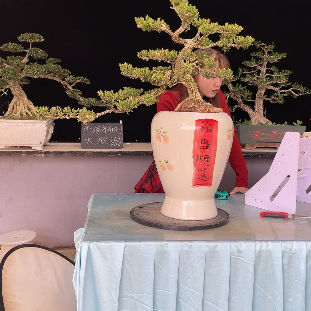 刘**8黄杨黄杨黄杨黄杨