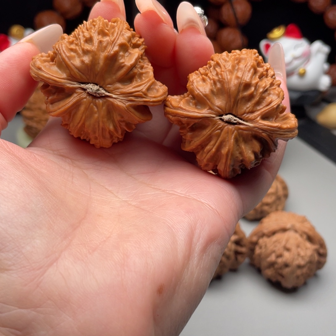 涛***哥文玩核桃核桃白狮子44