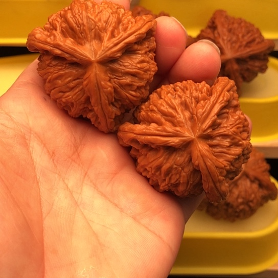h***n核桃核桃核桃核桃感叹
