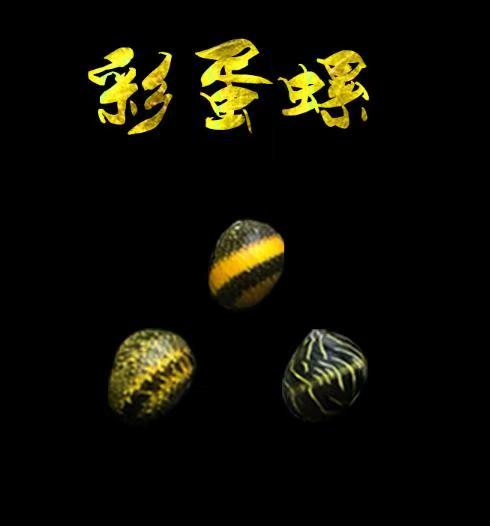 福袋：迷你彩蛋螺（除藻高手）