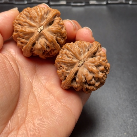 【闪购商品】把件文玩核桃小*粗筋……