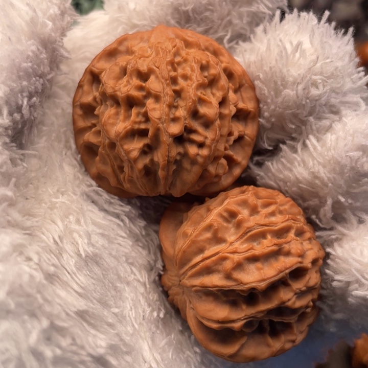 回***眸核桃40尺秦岭野生十八狮子