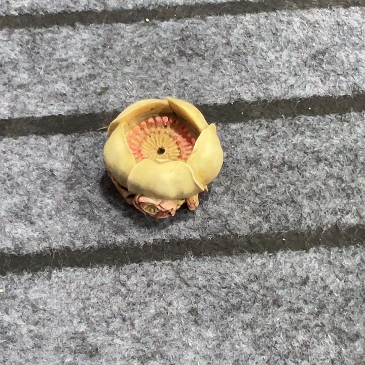 远***志香道的中古回流好